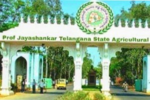 Professor Jayashankar Telangana State Agricultural University
