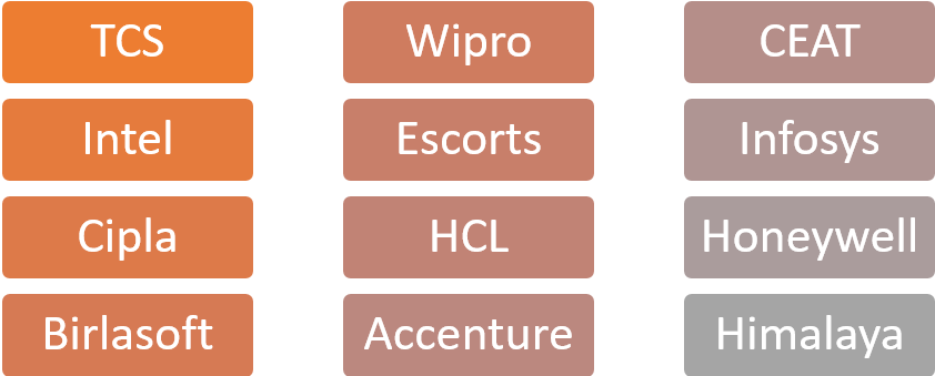 Dr C V Raman University top companies