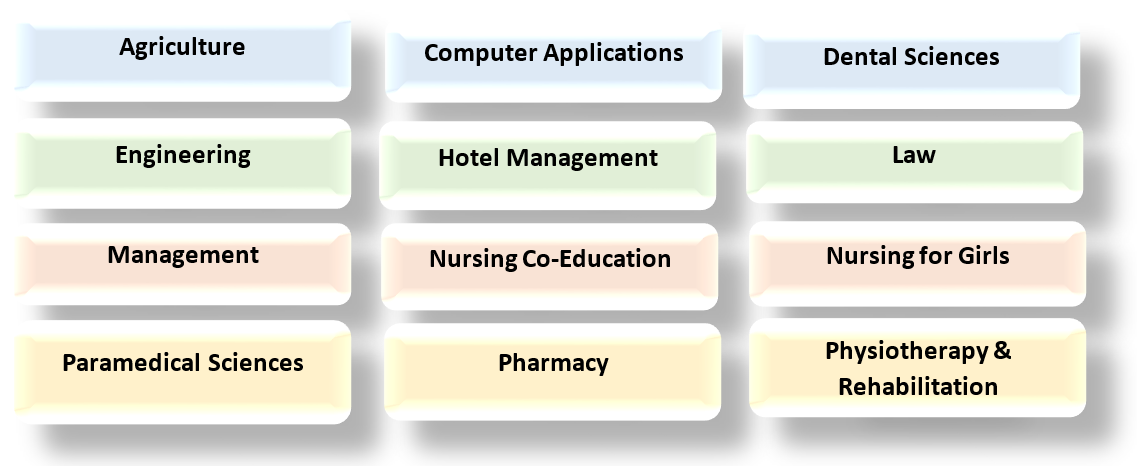 MMU Mullana Institutes