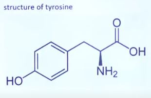 jee-main-17-march-2021-shift-1-chemistry-Q1