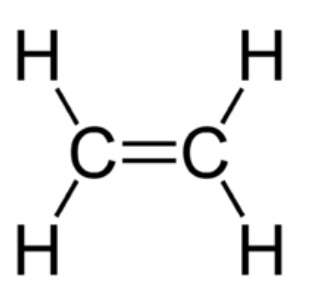 Unsaturated carbon compounds