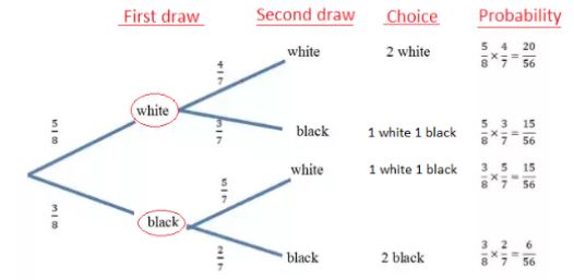 Tree_Diagram_4