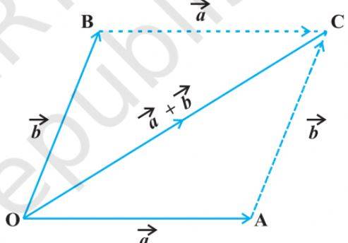 Components_of_Vector