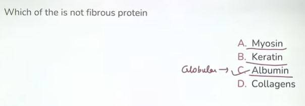 JEE-Main-31-August-2021-Shift-2-Chemistry-question-2