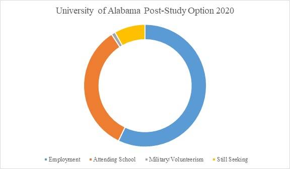 universityofalabamaplacements