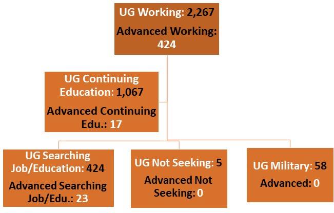 jamesmadisonplacements