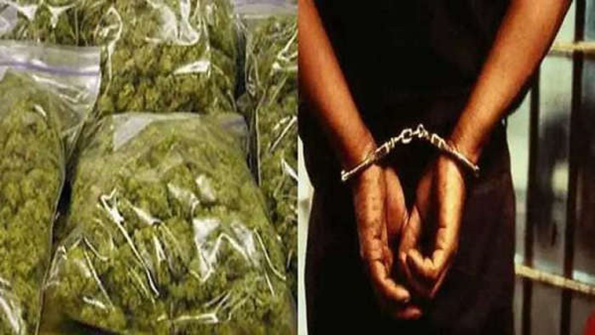9 medicos arrested for ganja consumption, peddling