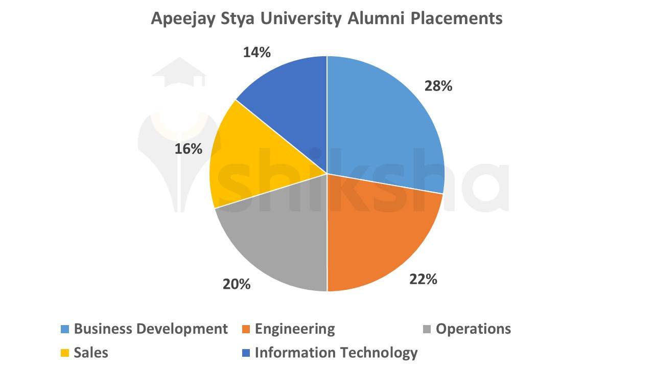 Apeejay Stya University Alumni Placements