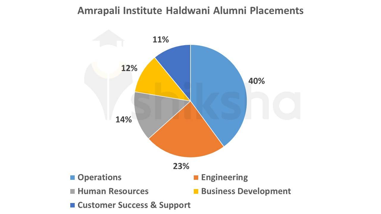 Amrapali Institute Haldwani Alumni Placements