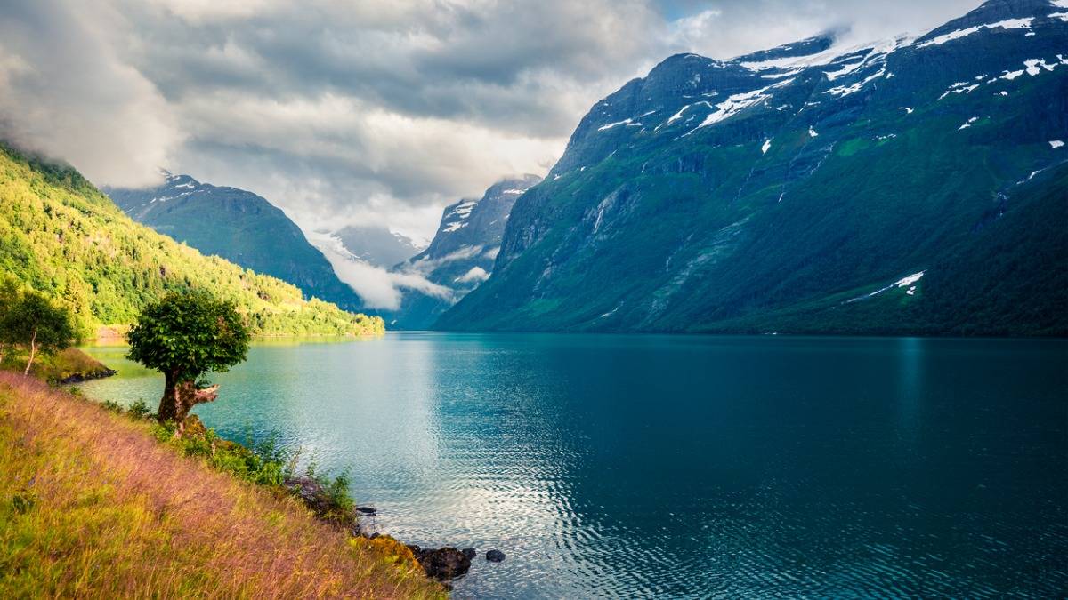 Norway Free Education for Indian Students Tuitionfree Universities