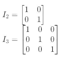 Identity Matrix: Definition, Examples, and Properties