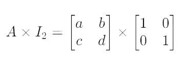 Identity Matrix: Definition, Examples, and Properties