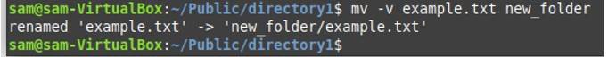 mv Command in Linux
