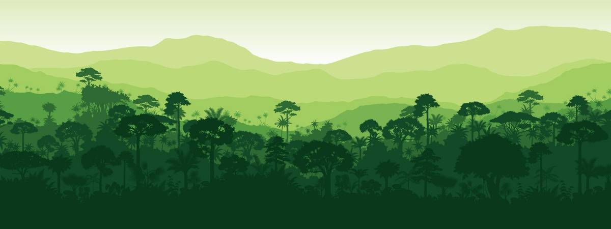 forest app