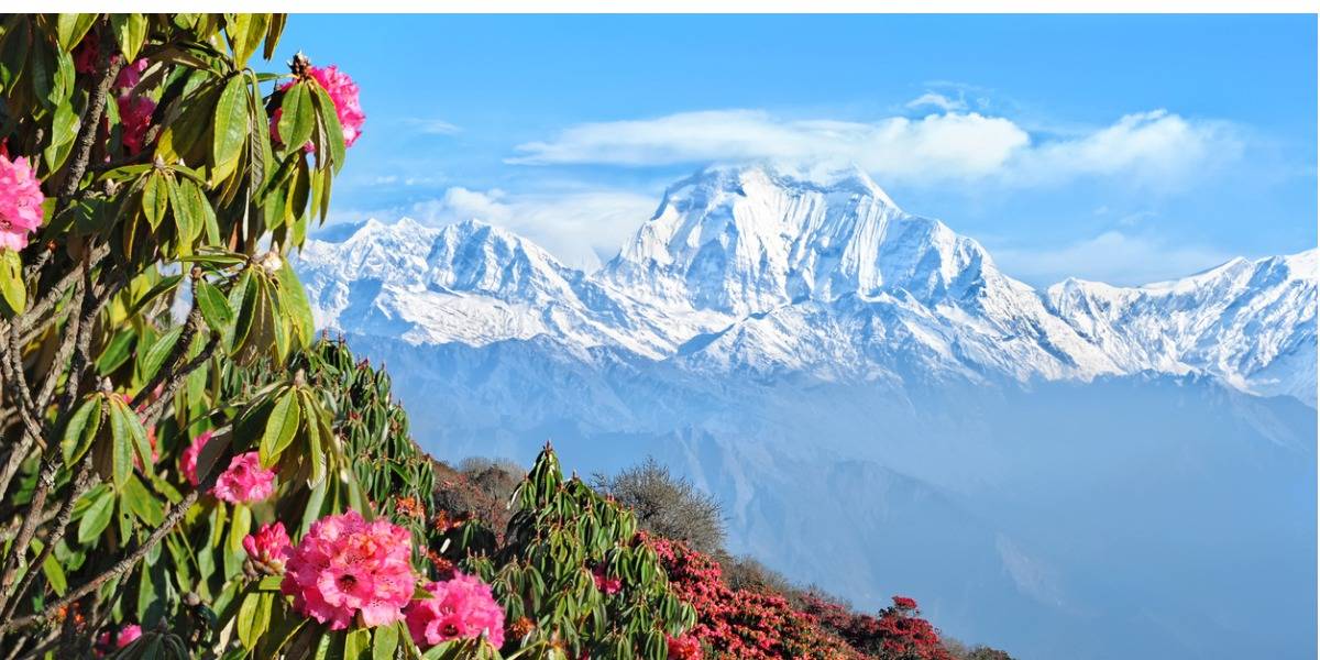 Himalayas