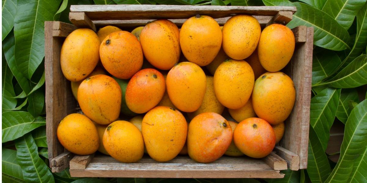 Mangoes