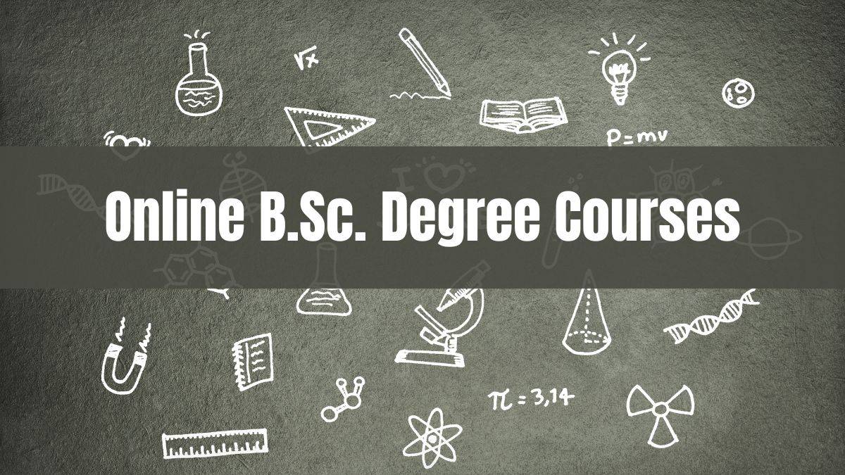 What is Online BSc