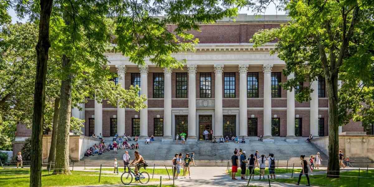 HArvard University