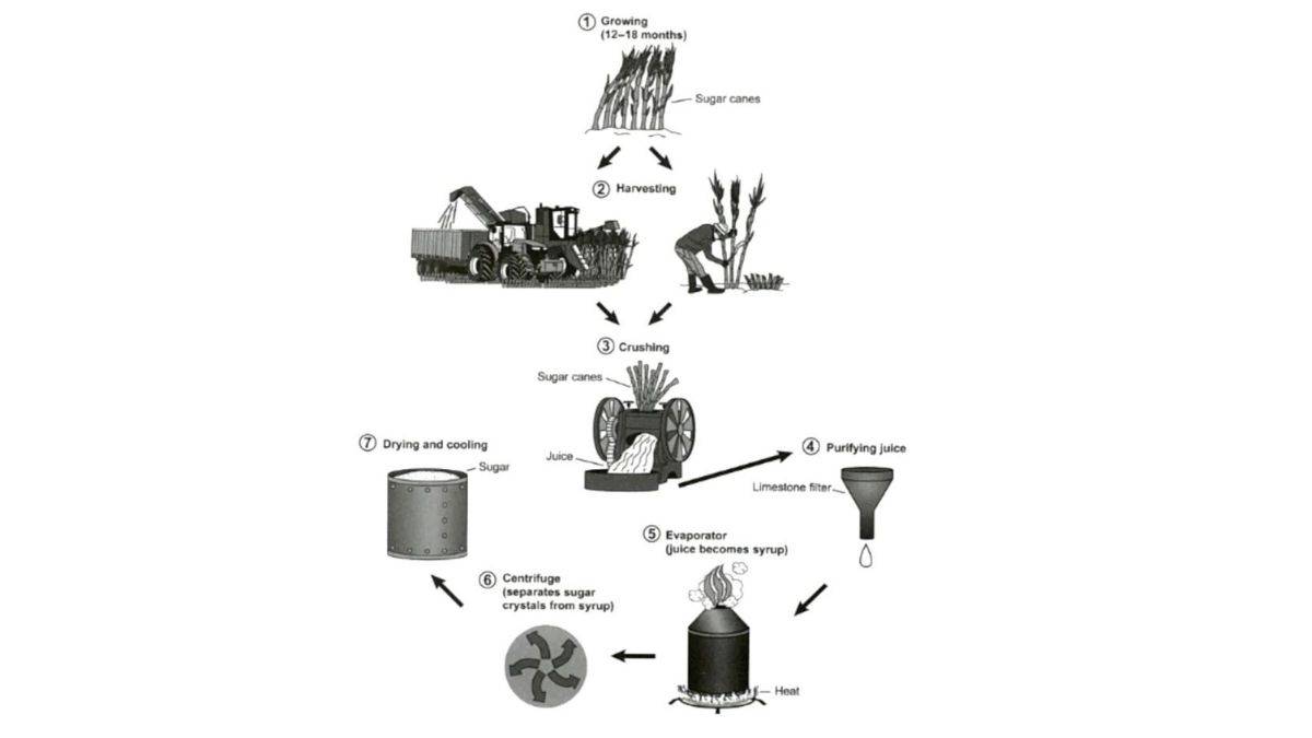 IELTS Writing Task 1- Sugarcane Process