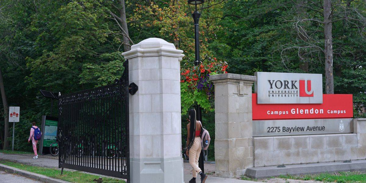York University