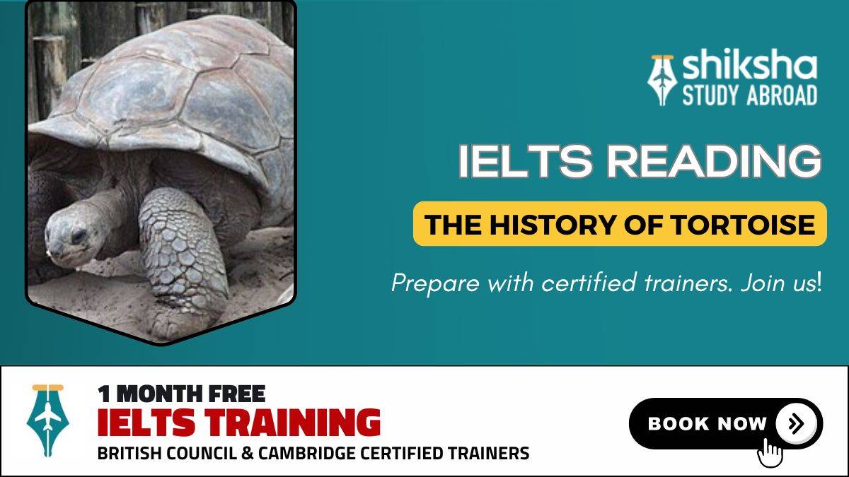 The History of Tortoises Reading Answers: IELTS Reading Practice Test