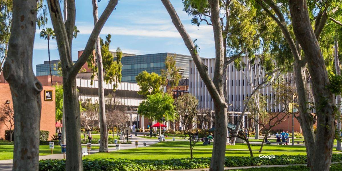 California State University