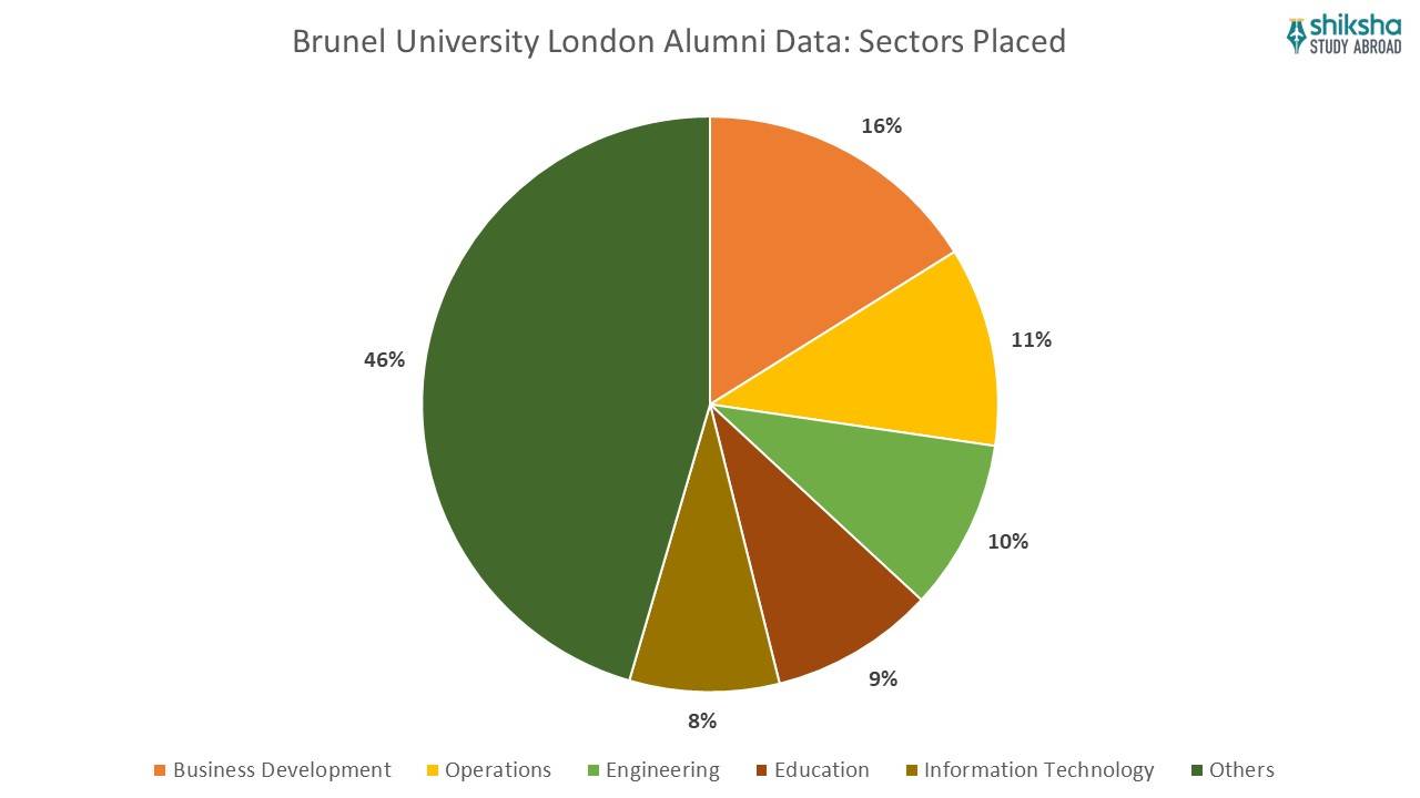 Brunel University london alumni data sectors placed
