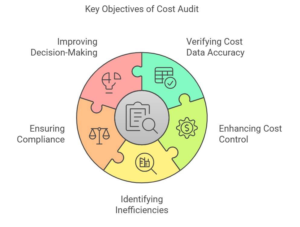 Cost audit objectives