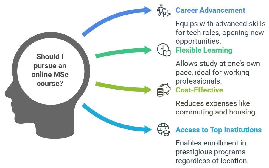 Why Pursue an Online MSc Course?