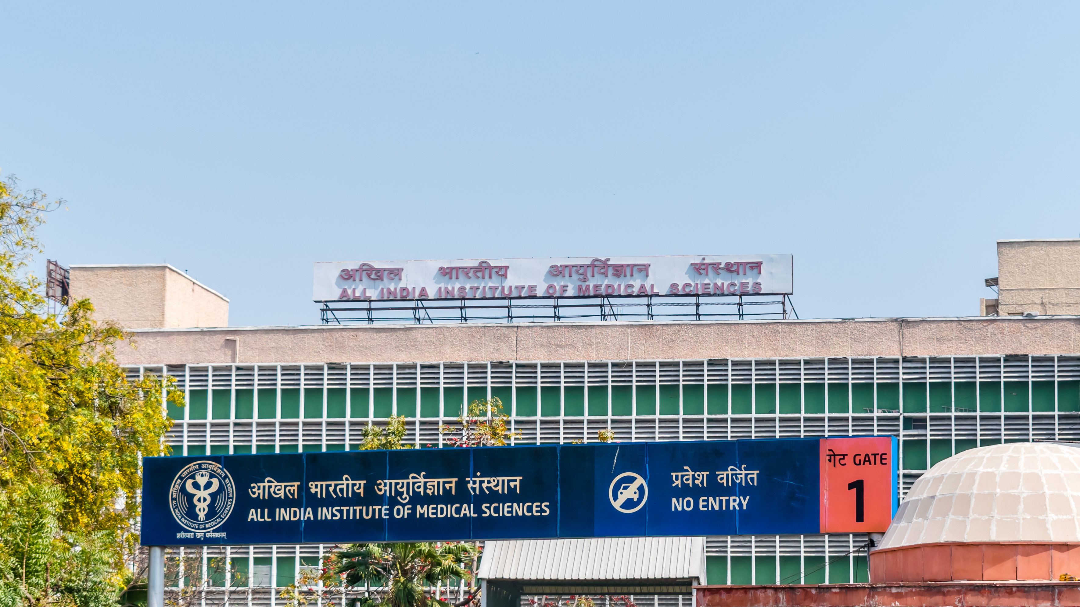 AIIMS BSc Nursing Application Process 