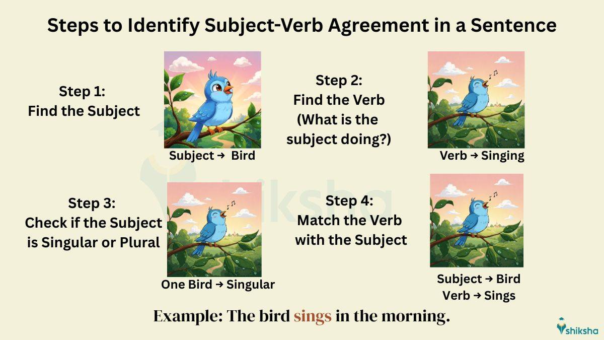 Steps to Identify Subject-Verb Agreement in a Sentence
