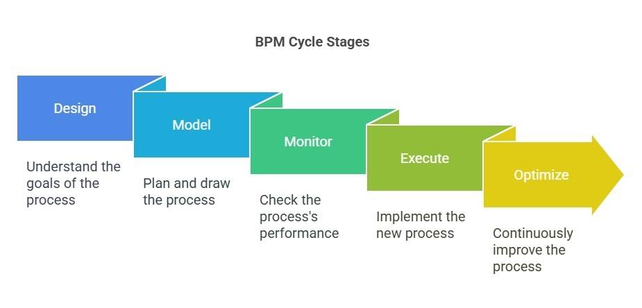 BPM Cycle stages