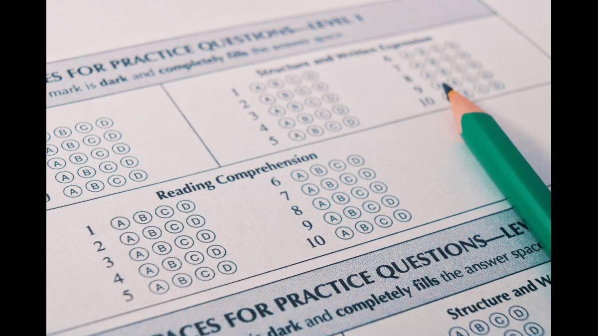 NEET 2025 Biology answer key