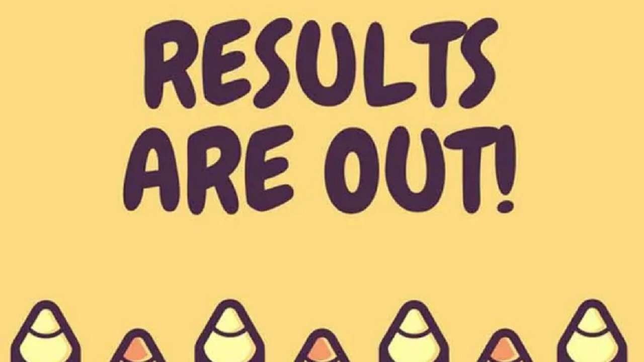 MBSE result 2025 Class 12