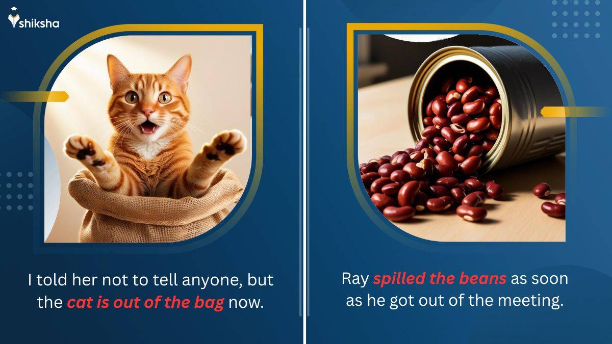 Cat is out of the bag and Spilled the beans