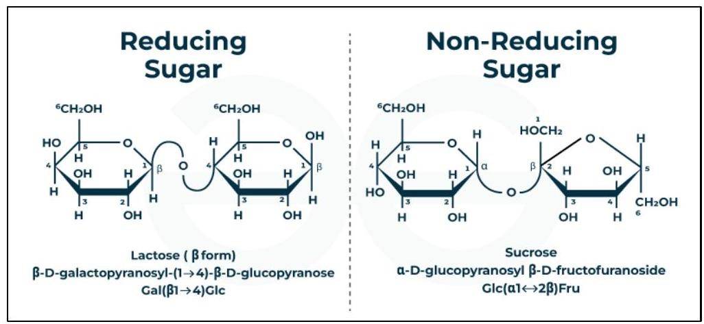 Reducing and Non-Reducing Sugar