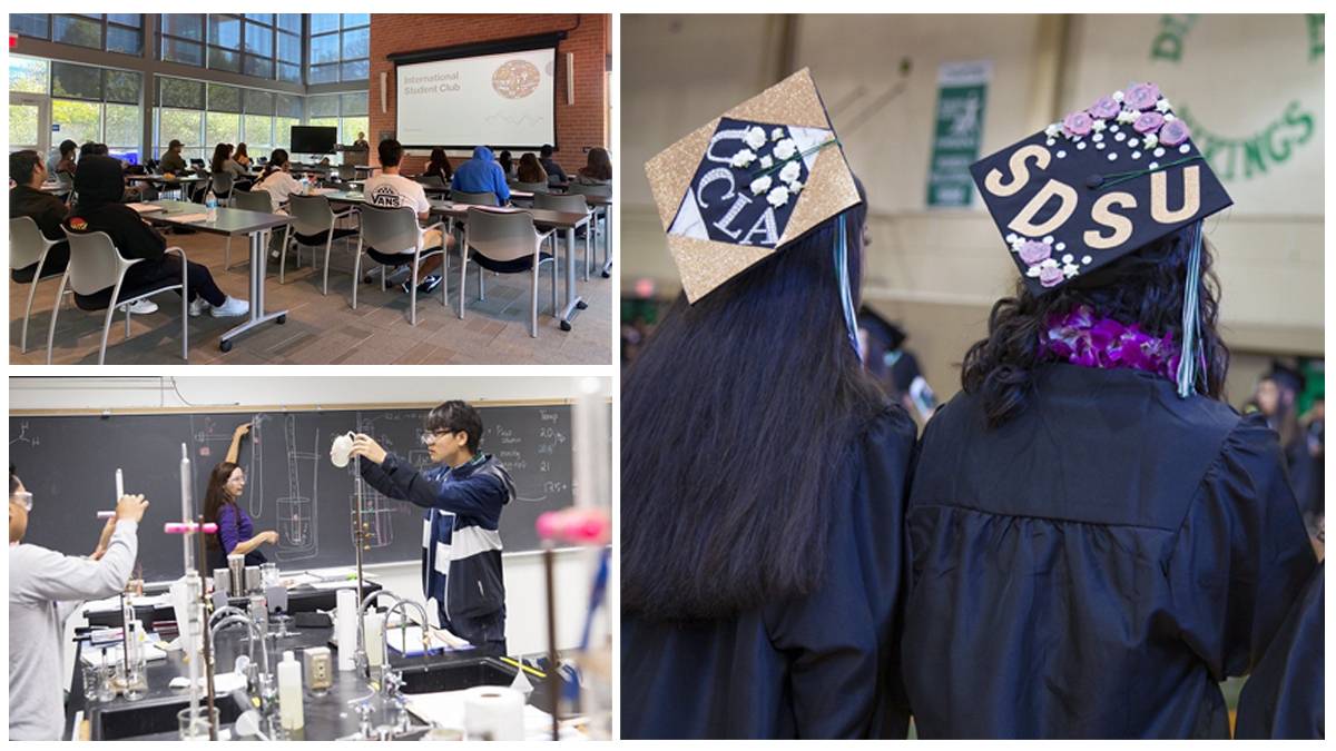 community college collage