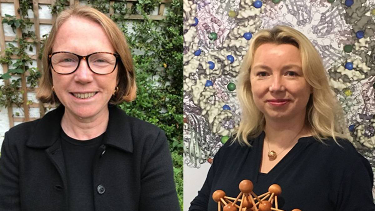 Study In UK: University Of York Professors Elected Fellows Of The Royal Society