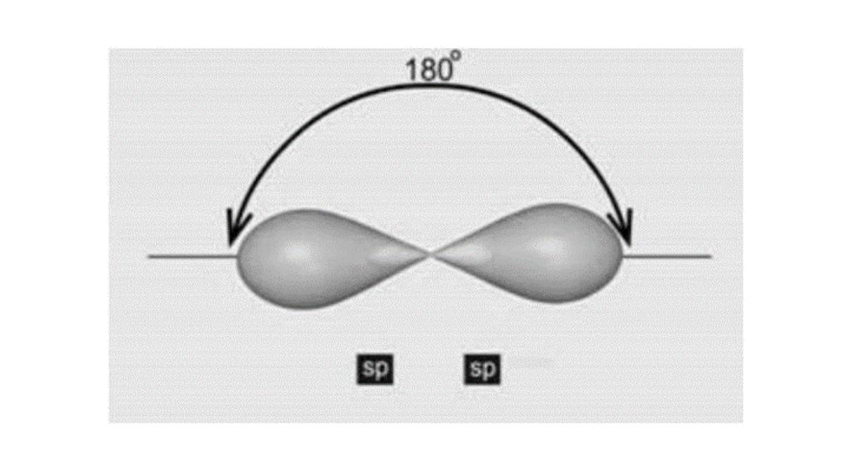classification of organic compounds