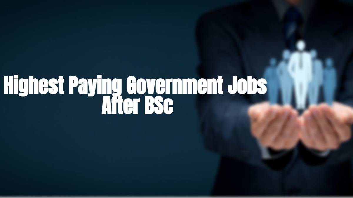 Highest Paying Government Jobs After BSc