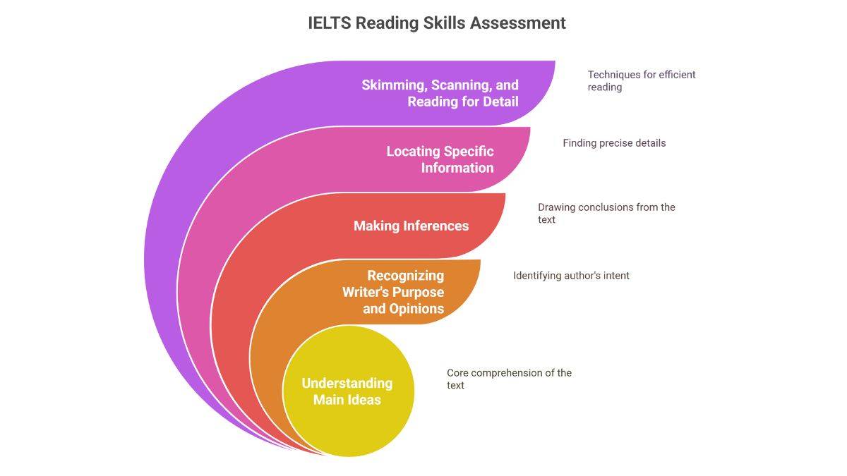 IELTS reading