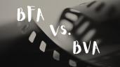 BFA vs BVA: Understanding the Differences and Career Opportunities