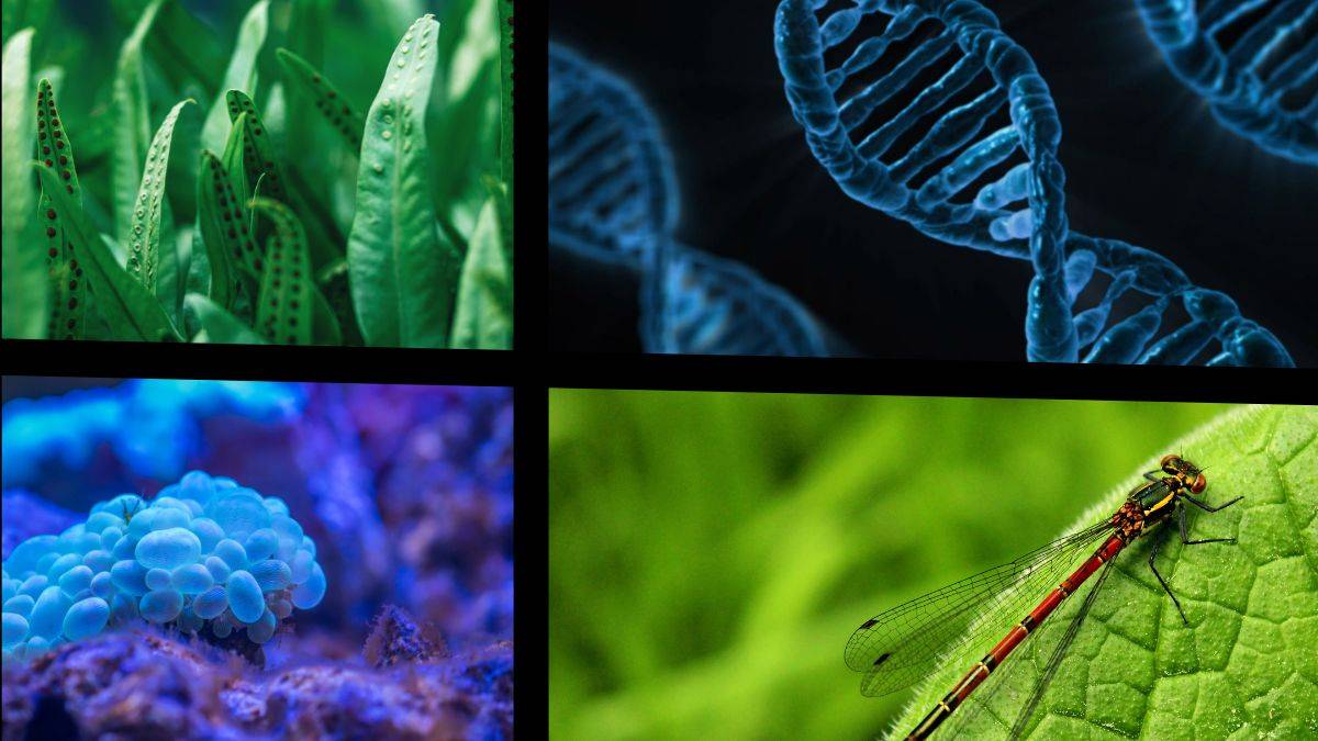 Top Courses in Biology After 12th Except MBBS