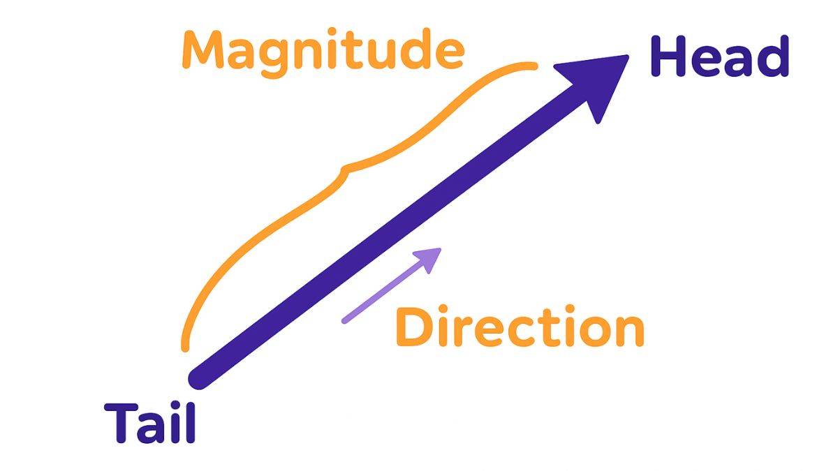 magnitude of a vector