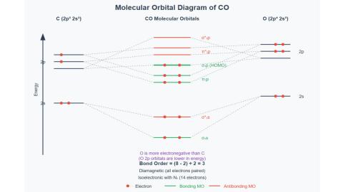 Co Molecule Mo Diagram