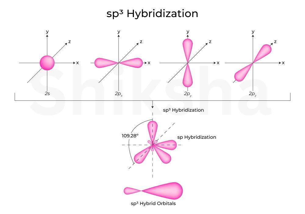 SP3 Hybridization