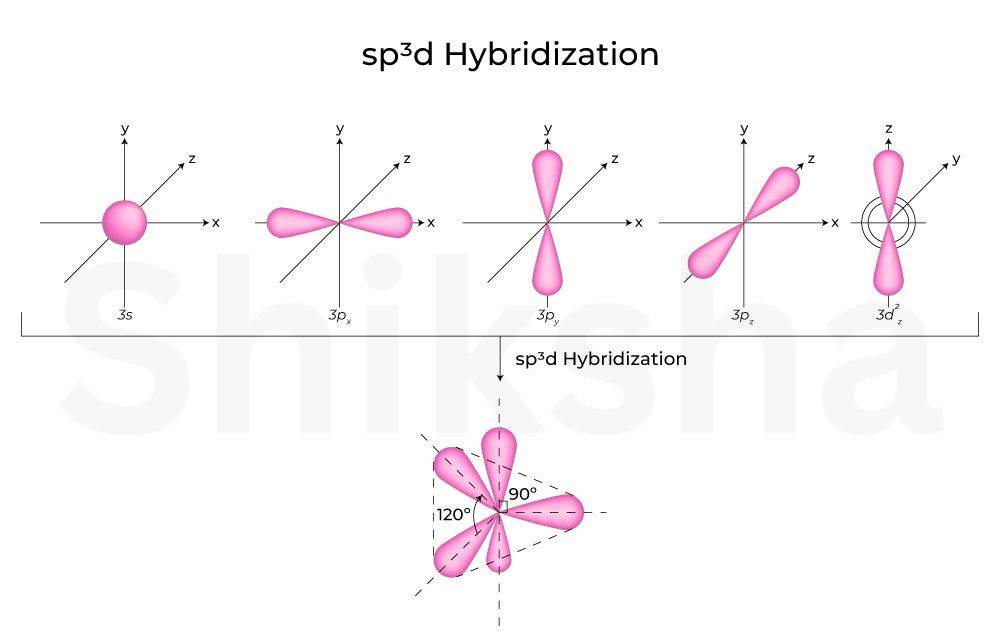 Sp3d Hybridization