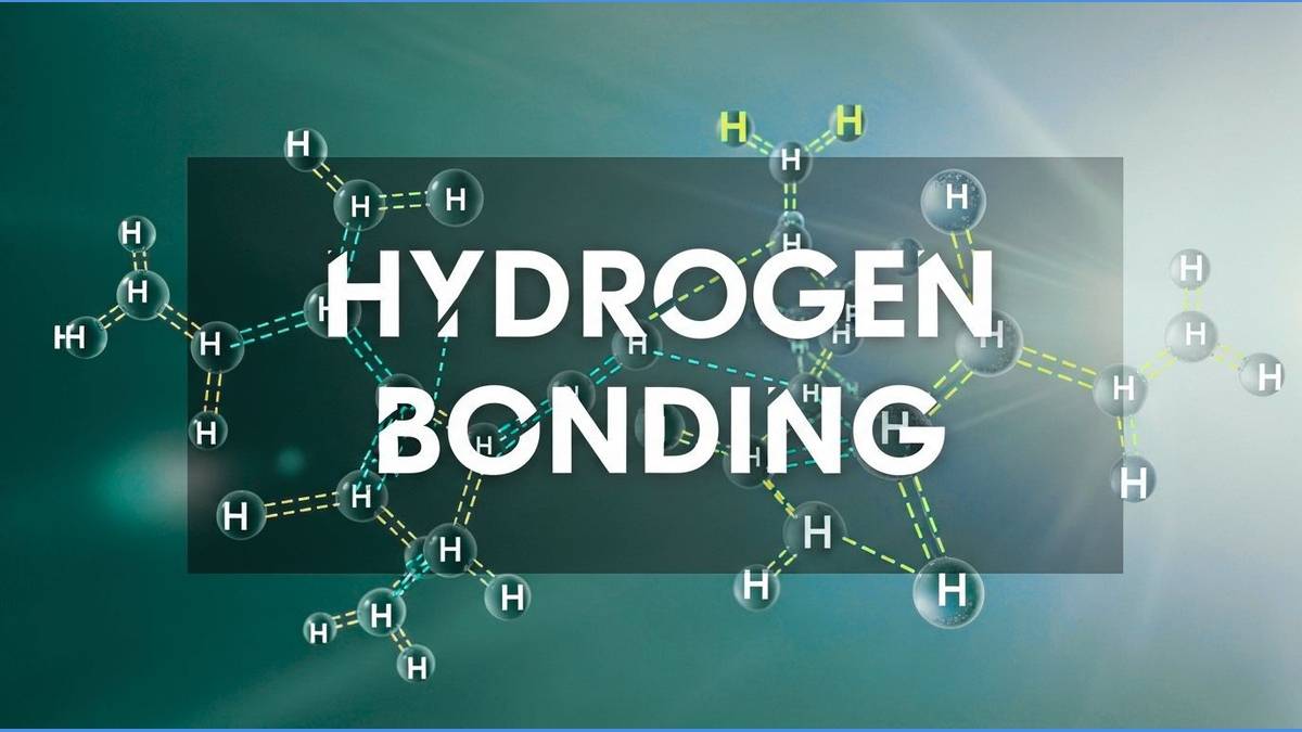 Hydrogen Bonding
