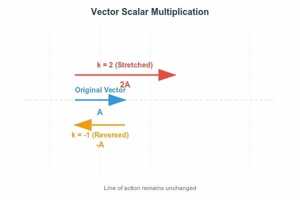Scalar Multiplication of vector