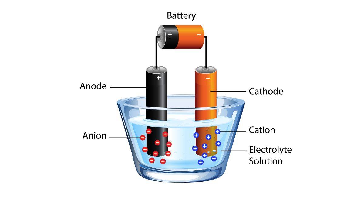 electrochemical cell
